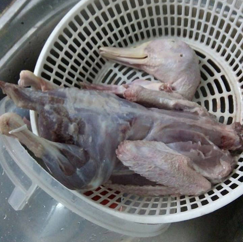 Làm lông vịt thế này đã đủ sạch chưa? Làm lông vịt thế này đã đủ sạch chưa?
