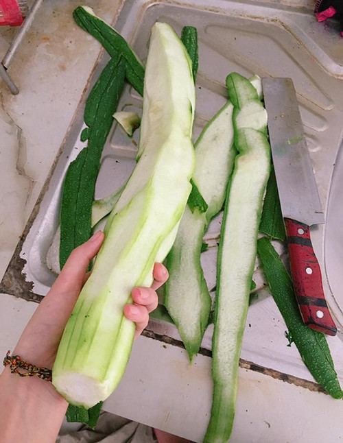 Gọt mướp không phải là công việc dễ dàng với cô nàng này. Gọt mướp không phải là công việc dễ dàng với cô nàng này.