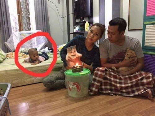 Biểu cảm ngơ ngác của "nhân vật phụ" trong tiệc sinh nhật mèo cưng. bieu-cam-ngo-nghinh-cua-thu-cung-khi-duoc-to-chuc-sinh-nhat-10