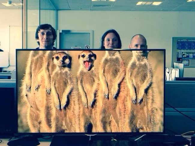 Khi dân văn phòng "rảnh rỗi sinh nông nổi" hình ảnh 15 khi dan van phong "ranh roi sinh nong noi" hinh anh 15