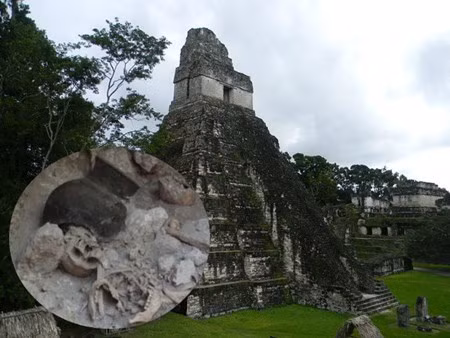 Kham pha nhung ngoi mo tap the day bi an