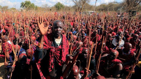 Có tổng cộng 15.000 đàn ông Maasai trẻ tham dự Olng’esherr năm nay. Có tổng cộng 15.000 đàn ông Maasai trẻ tham dự Olng’esherr năm nay.