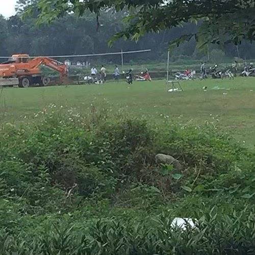 Quảng Ninh kỷ luật “quan” huyện mang lợn chết chôn ngay sân bóng - ảnh 1