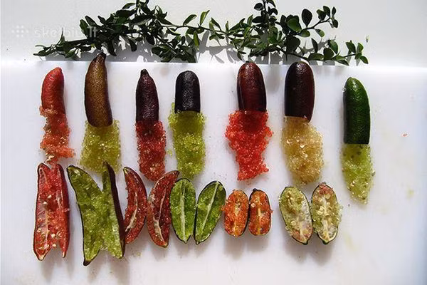 chanh-mong-tay-sieu-dat