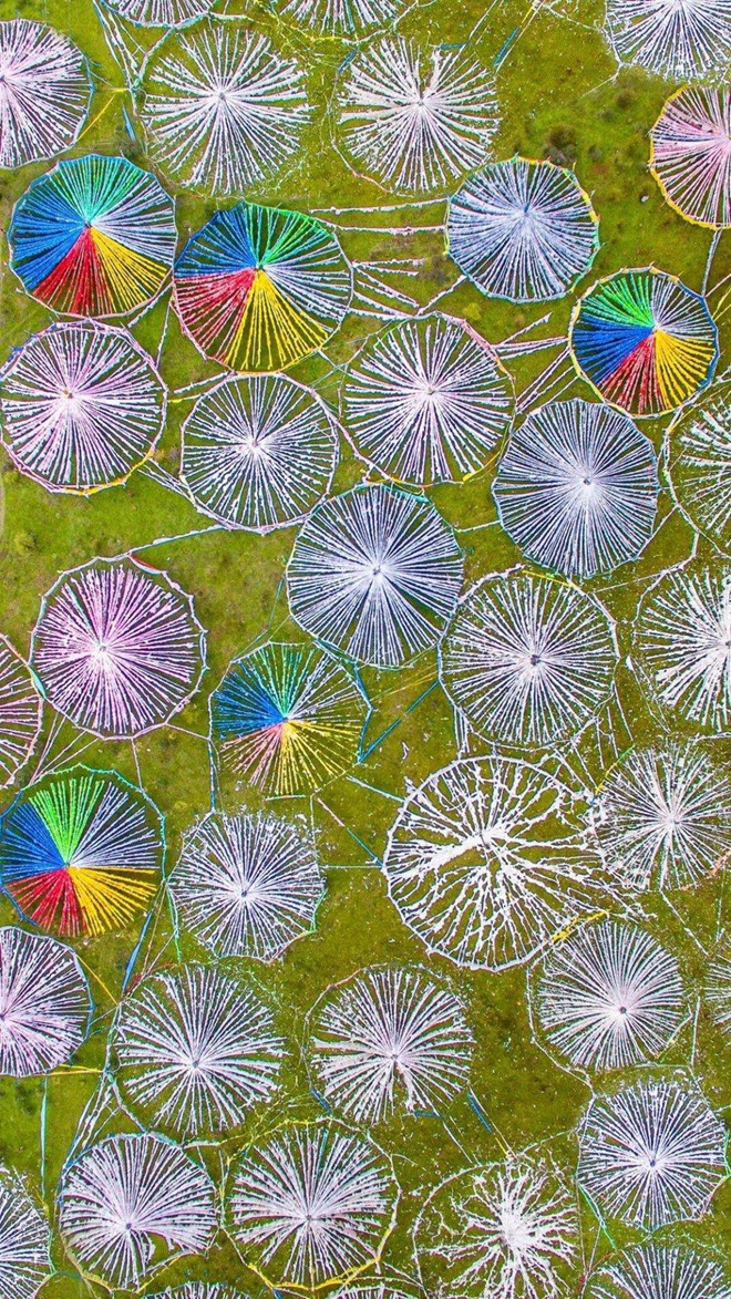 Cùng năm đó, Lyu cố gắng chụp ảnh tòa nhà cao tầng ở Quảng Châu khi mây đang bao phủ. “Ba cảnh sát mặc thường phục tưởng tôi là gián điệp và đưa tôi về đồn. Họ kiểm tra đồ đạc, ảnh của tôi. Họ khá ngạc nhiên và khen kỹ năng chụp ảnh của tôi”. Năm ngoái anh đăng ảnh trên mạng và nhận được nhiều phản hồi. “Mọi người bình luận và nói họ chưa từng thấy Trung Quốc đẹp đến thế. Tôi rất cảm động”, anh nói. Trong ảnh, các sợi dây màu tạo thành hình ở tỉnh Tứ Xuyên. Chang trai an, ngu tren tau, di khap Trung Quoc chup lai canh ky vi hinh anh 6