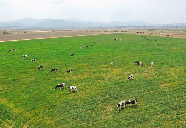 Vinamilk là đại diện Việt Nam duy nhất lọt Top 50 ASIA300 - 3