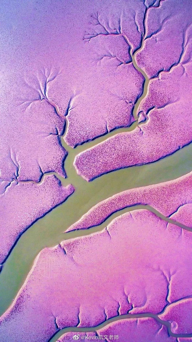 “Nhiều người đã cho tôi đi nhờ xe. Tôi cảm kích vì sự hào phóng của họ”, anh nói. “Một lần, khi tôi đang ở Tây Tạng chụp ảnh time-lapse, trời đổ mưa. Một cậu bé Tây Tạng tới gần và giữ ô cho tôi, dù nửa người của cậu bị ướt”. Trong ảnh, bãi biển đỏ ở tỉnh Liêu Ninh. Chang trai an, ngu tren tau, di khap Trung Quoc chup lai canh ky vi hinh anh 8