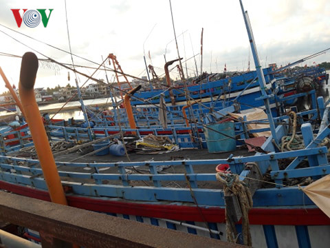 nước mắt ngư dân tại "làng chài tỷ phú" một thời hình 2 nuoc mat ngu dan tai "lang chai ty phu" mot thoi hinh 2