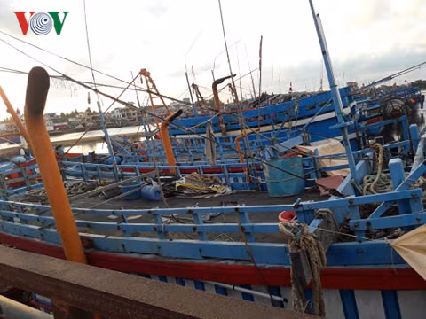 nuoc mat ngu dan tai "lang chai ty phu" mot thoi hinh 2