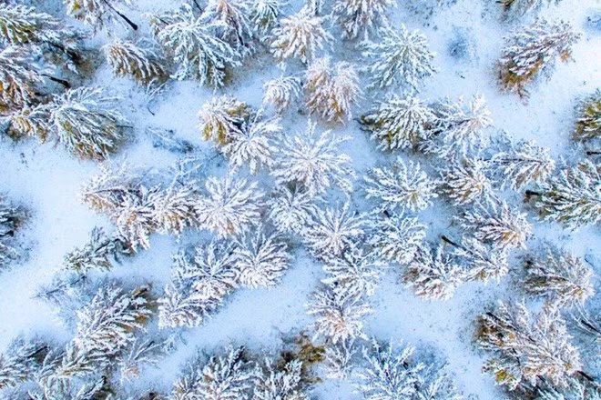 Chàng trai ăn, ngủ trên tàu, đi khắp Trung Quốc chụp lại cảnh kỳ vĩ