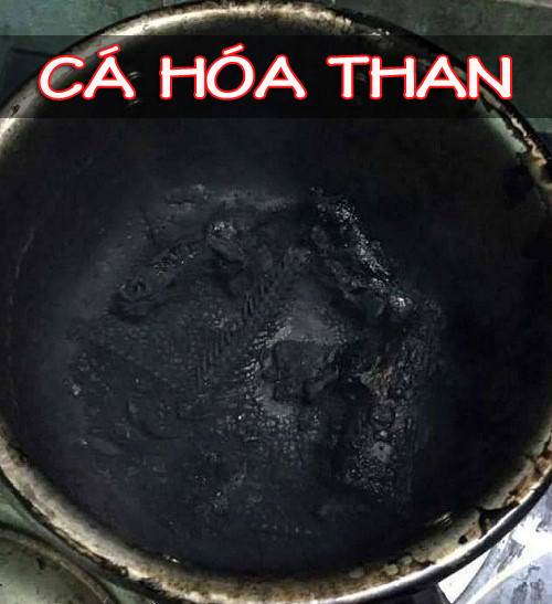 Cá hóa than chứ không phải hóa thạch nhé.