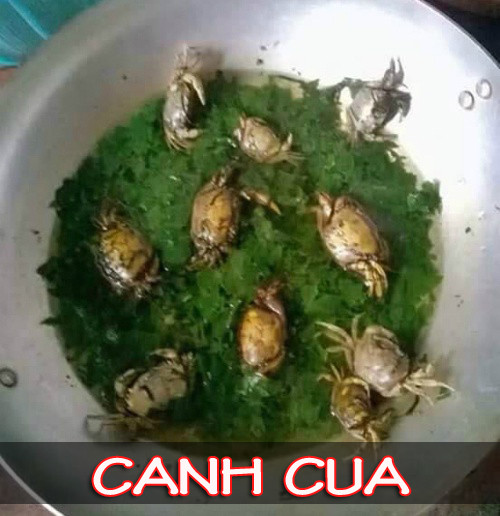 Đây mới gọi là cách cua đúng chuẩn.