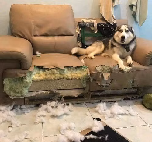 10-anh-hai-hot-nhat-facebook-trong-ngay-3