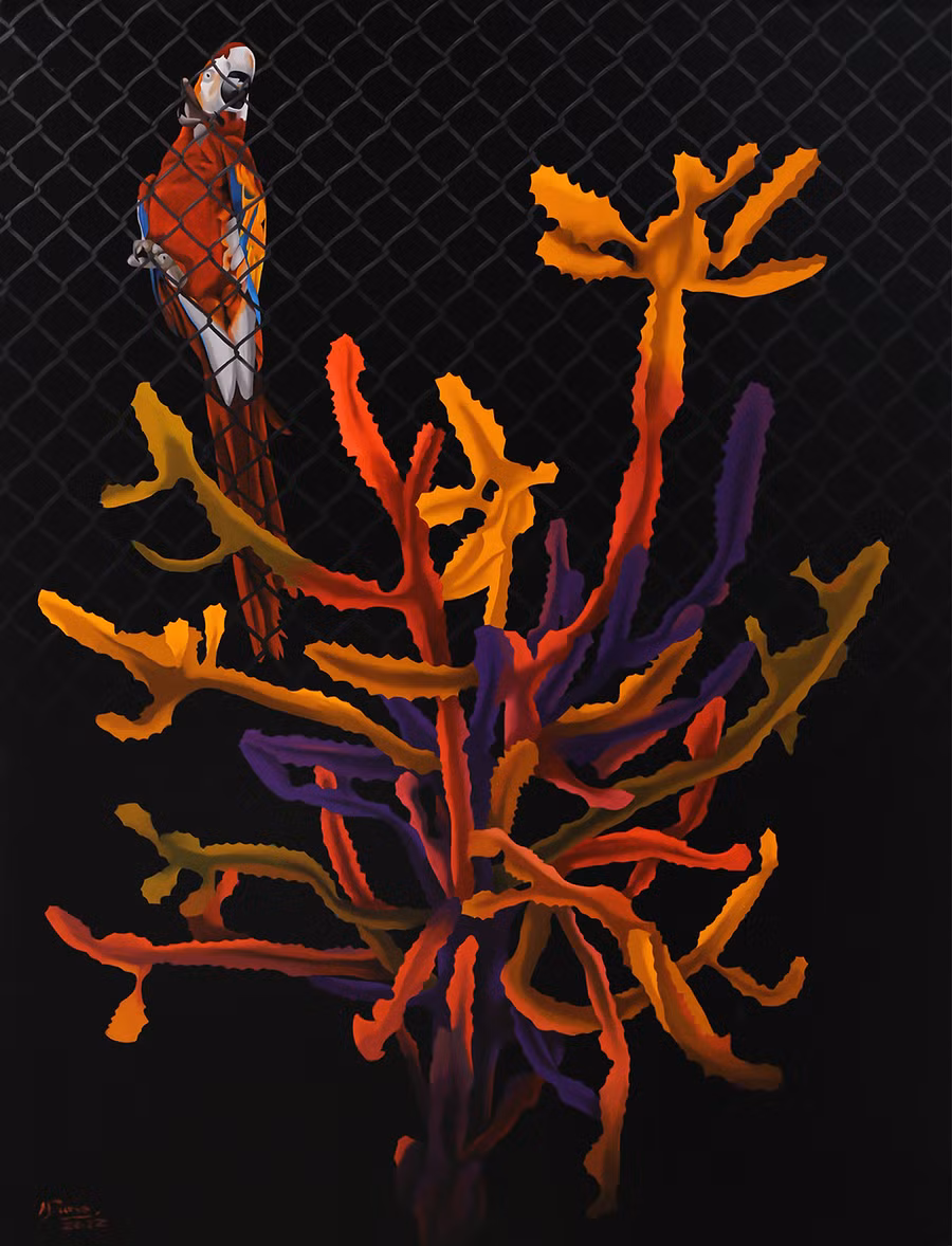 Đánh cắp xương rồng.