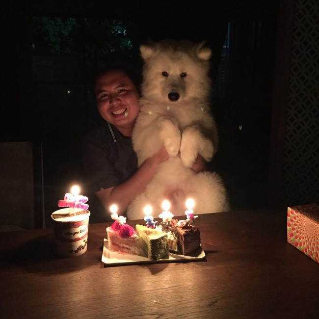 18 minh chứng vì sao Samoyed là hoa hậu thân thiện của loài chó - Ảnh 9. 18 minh chứng vì sao Samoyed là hoa hậu thân thiện của loài chó - Ảnh 9.