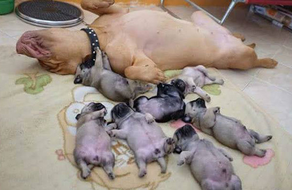 cuoi-te-ghe-24-6-ac-mong-cua-99-thanh-thieu-nien-viet-nam-4