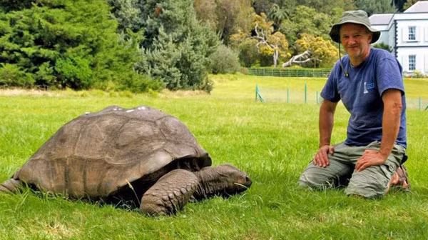 Cụ rùa già nhất thế giới 183 tuổi vẫn đang sống khỏe mạnh 