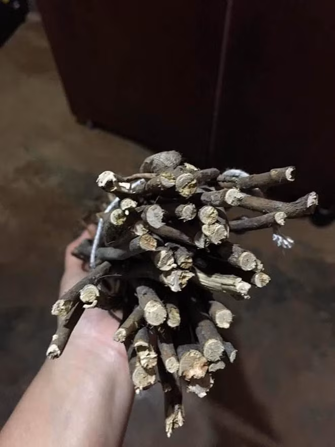 Cành hoa như thế này thì trưng Tết làm sao được.