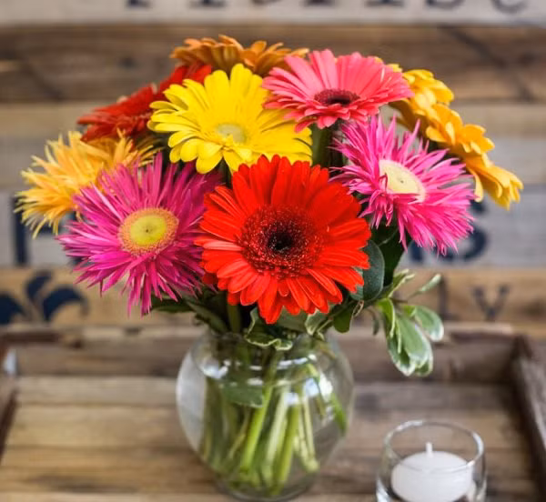 Cách cắm hoa đồng tiền đơn giản mà đẹp chơi ngày Tết