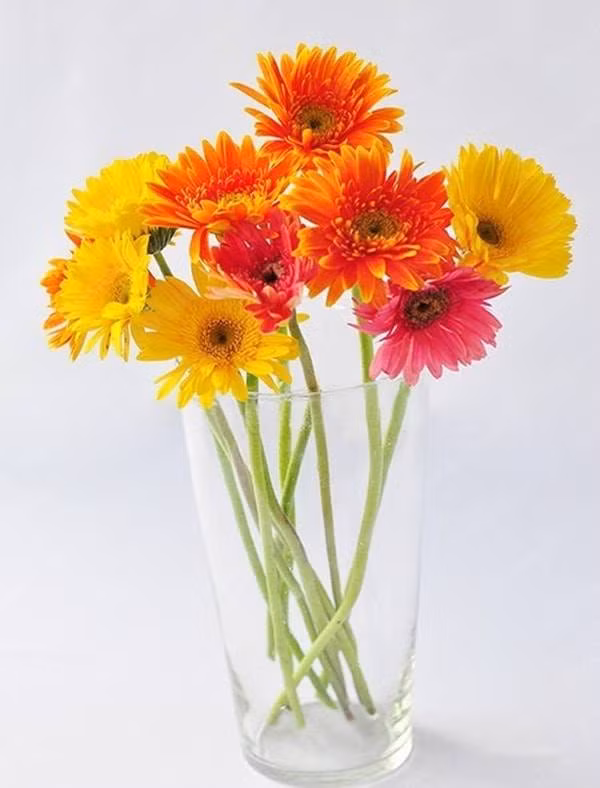 cach cam hoa dong tien don gian ma dep cho dip tet - 5