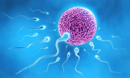 Dan ong dung an qua nhieu dau nanh!