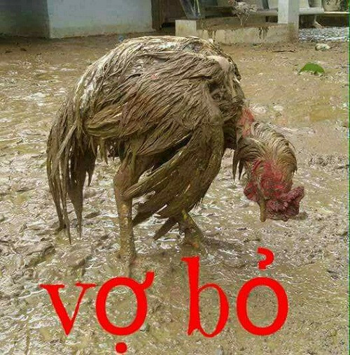 10-anh-hai-hot-nhat-facebook-trong-ngay-5