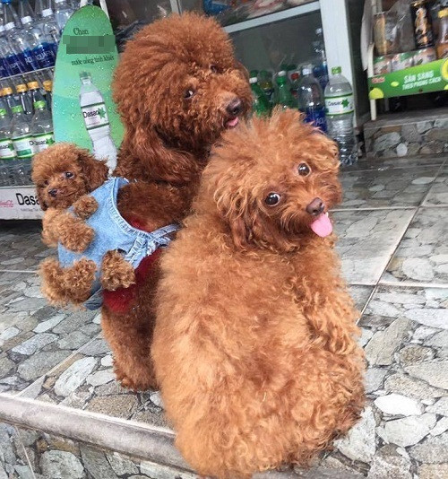 10-anh-hai-hot-nhat-facebook-trong-ngay-3