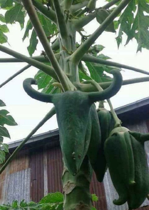 10-anh-hai-hot-nhat-facebook-trong-ngay-2