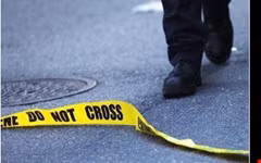 Treo thưởng 5.000 USD để tìm kẻ giết chó dã man 