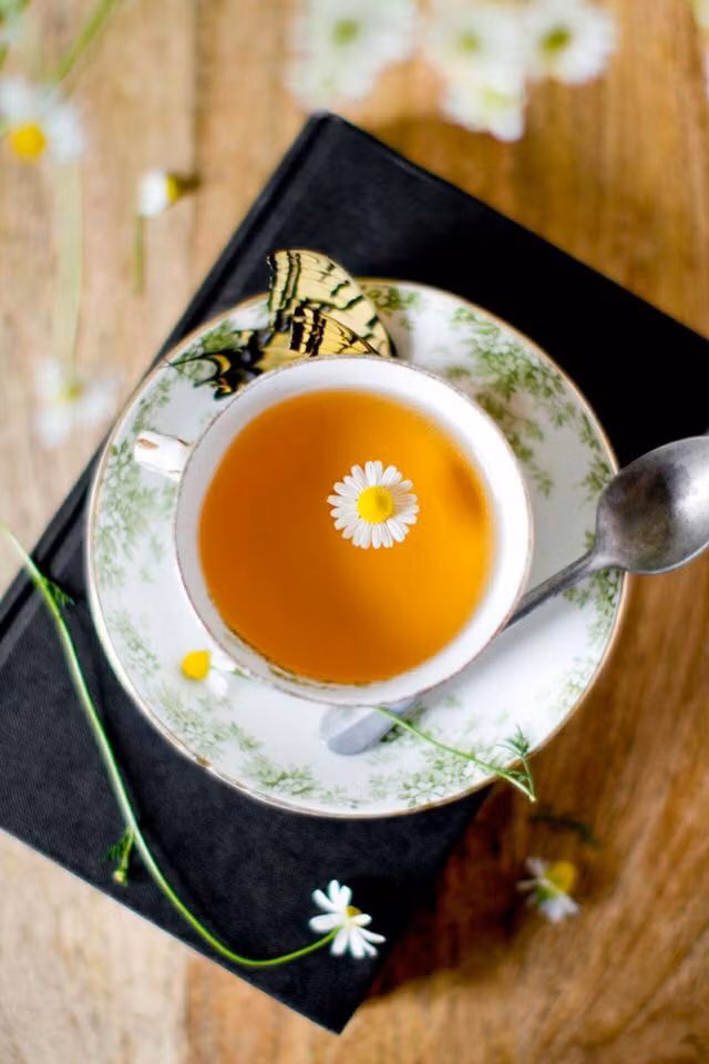 Không được trời phú cho mái tóc đẹp, bạn đã có 5 liệu pháp nhà làm biến tóc từ rễ tre thành óng ả như lụa - Ảnh 4. Không được trời phú cho mái tóc đẹp, bạn đã có 5 liệu pháp nhà làm biến tóc từ rễ tre thành óng ả như lụa - Ảnh 4.