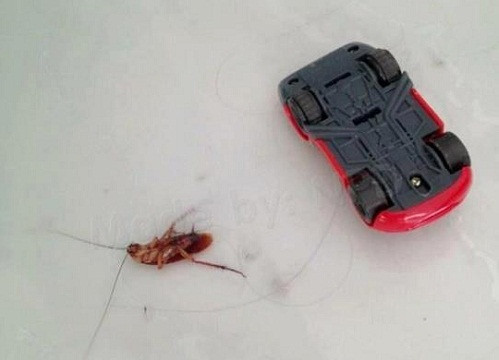 Một vụ tai nạn thảm khốc.