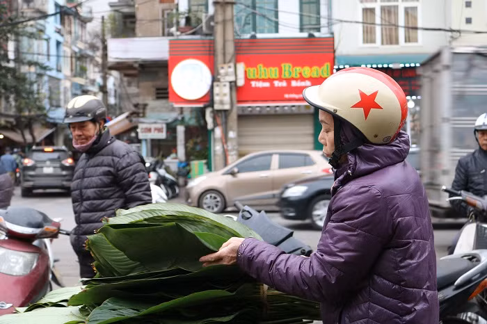 Lá dong rừng được nhập từ Hòa Bình, Tuyên Quang, Bắc Kạn… và được bán với giá 40.000 đồng/bó/50 lá. Lá dong ta hay còn được gọi là lá dong nếp thì được các tiểu thương thhu mua tại làng lá dong Tràng Cát huyện Thanh Oai. Loại lá dong trứ danh này có giá cao hơn được bán với giá 45.000 đồng/bó/40 lá.