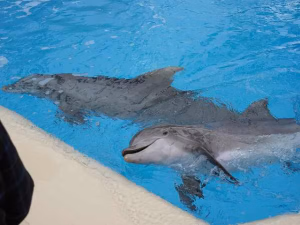 6 phuong phap chua benh ky la nhat the gioi hinh anh 4