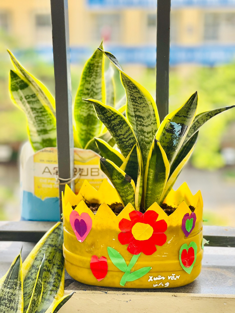 Ở dọc hành lang cũng như trong mỗi lớp học, từng chậu hoa được làm từ vật liệu tái chế do chính các em học sinh đóng góp đã làm &quot;xanh hóa&quot; không gian trường lớp. Ảnh: Đình Tuệ.