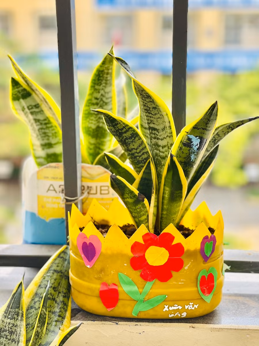 Ở dọc hành lang cũng như trong mỗi lớp học, từng chậu hoa được làm từ vật liệu tái chế do chính các em học sinh đóng góp đã làm "xanh hóa" không gian trường lớp. Ảnh: Đình Tuệ.