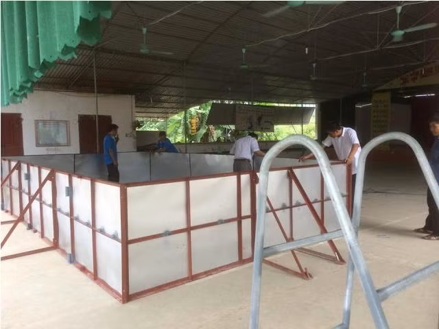 Các thầy cô dựng lắp bể bơi thử nghiệm