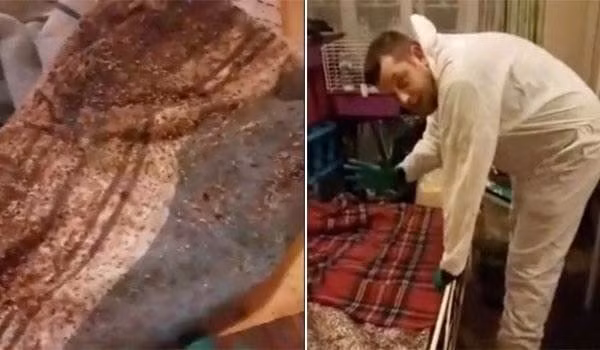  6 năm không giặt chăn đệm, hai vợ chồng “hoảng hồn” phát hiện thứ khủng khiếp khi lật đệm lên 