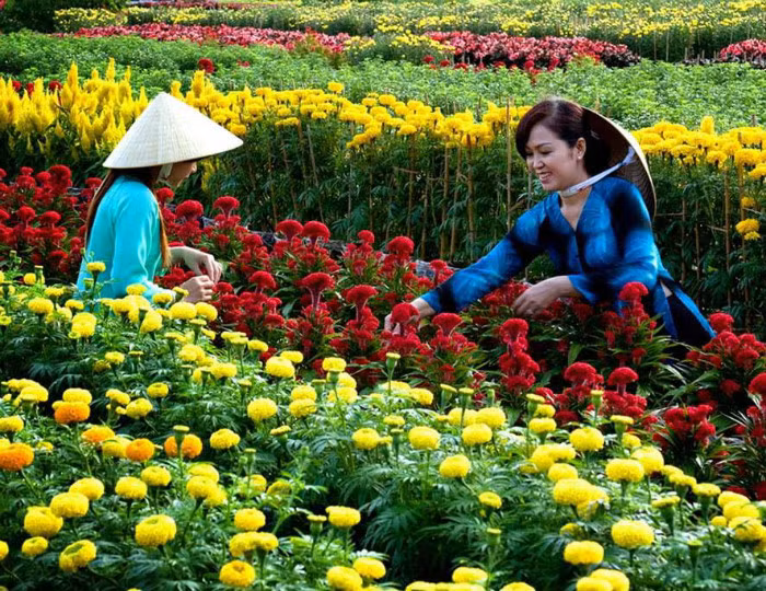 Du khách trải nghiệm làm nông dân trồng hoa ở làng hoa Sa Đéc (Đồng Tháp). 