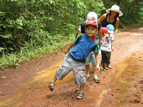 Khi cho con đi dã ngoại