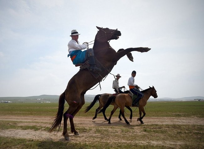Giật mình với hành động ‘kỳ dị’ của con người ảnh 4