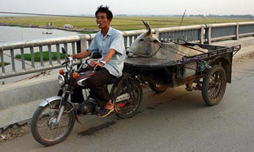 Người đẹp ngủ giữa đường ảnh 3 Người đẹp ngủ giữa đường ảnh 3