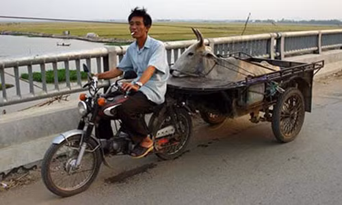 Người đẹp ngủ giữa đường ảnh 3