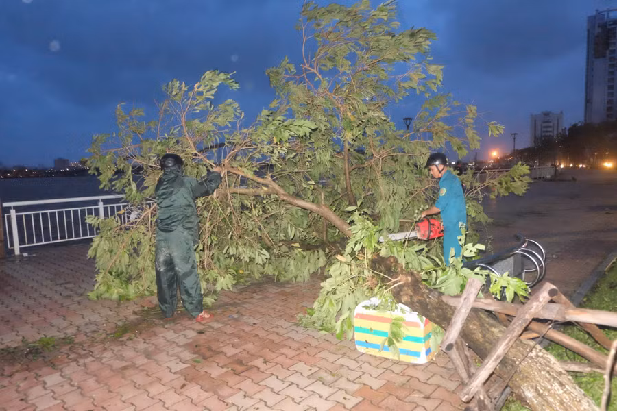 Lực lượng chức năng đang khẩn trương dọn dẹp sau bão.