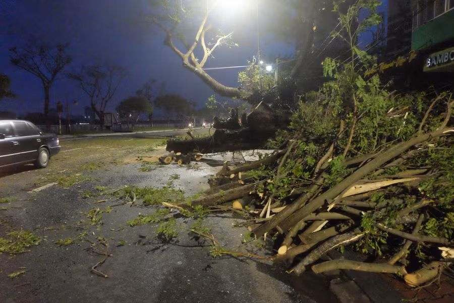 Một cây xanh trên đường Bạch Đằng (TP Đà Nẵng) đã bị gió bão làm bật gốc.