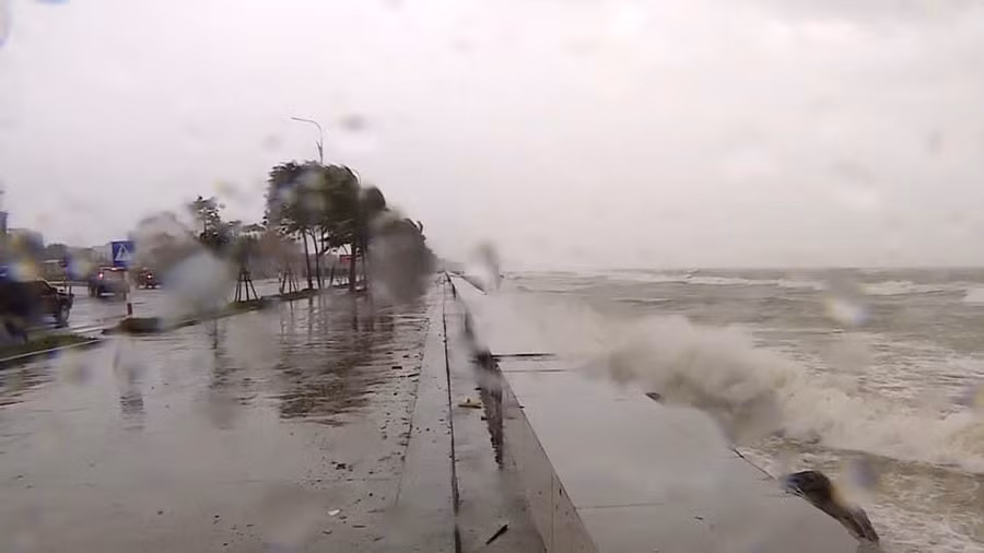 Đà Nẵng: Nước biển tràn bờ, cây cối đổ rạp trong bão ảnh 5