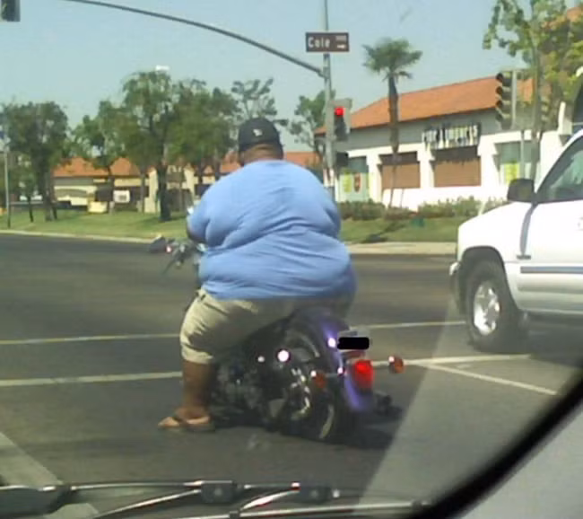 tuy beo, nhung khong he "kho heo" dau nha! hinh anh 6