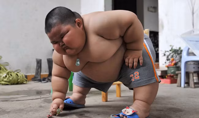 tuy beo, nhung khong he "kho heo" dau nha! hinh anh 1