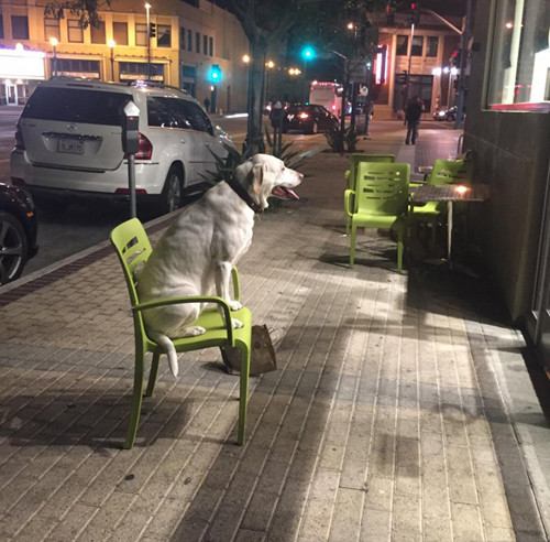 Nóng quá, ra đường hóng tí gió trời.