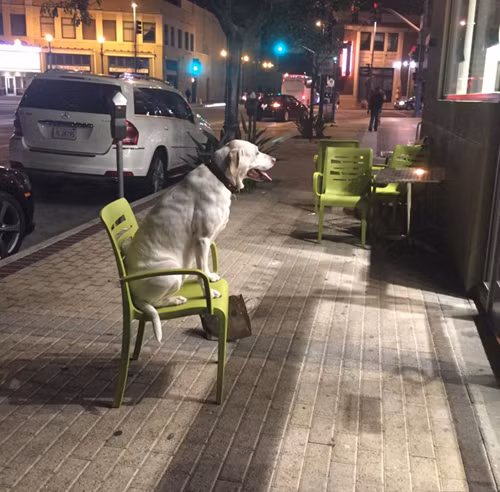 Nóng quá, ra đường hóng tí gió trời.