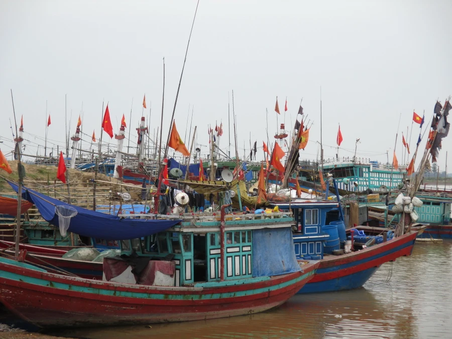 Tàu đánh bắt thủy hải sản của ngư dân Sầm Sơn (Thanh Hóa) cập cảng sau mỗi chuyến vươn khơi bám biển. Ảnh: Nguyễn Quỳnh.